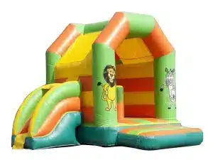 Bouncy Castle With Slide